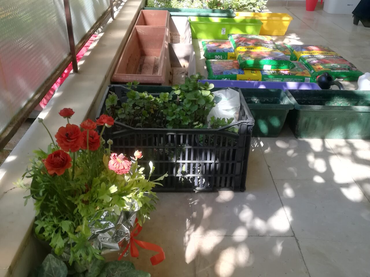 Φύση & Οικογένεια: Μια αγκαλιά για όλους